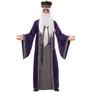 Wizard Costume Purple - Mens Halloween Costumes